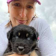 FACES OF #NCSTATEVETMED: KARIE. It's OneCVM Week at #NCStateVetMed and we'd  like to introduce you to some of the amazing people who keep @ncstatevetmed  running! 1️⃣ What's your name and what's your