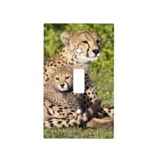 Africa Tanzania Cheetah Mother And Cubs 2 Light Switch Cover Zazzle Com In 2020 Light Switch Covers Switch Covers Light Switch