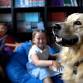 Dogs with Jobs: a family-friendly discovery day event image