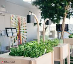 Agriculture Urbaine Potagers D Interieur De Bureau Et Hydroponie Potager Interieur Jardin Interieur Potager