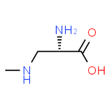 B Methylamino L Alanine C4h10n2o2 Chemspider