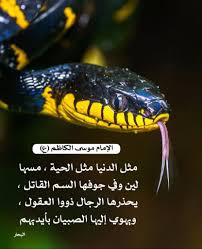 Pin By Aldahan On شيعة علي ابن ابي طالب هم الفائزون Proverbs Quotes Ali Quotes Proverbs