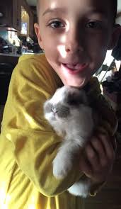 Merry Christmas from all the bunnies at Kind Heart!