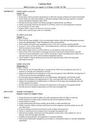Initiated property management activities that included payment processing and ensuring that continual maintenance was performed and that property inventory/utility was maintained. Asset Analyst Resume Samples Velvet Jobs