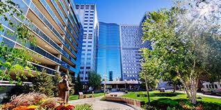 Home Mayo Clinic College Of Medicine Science