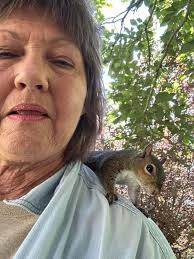 Those that carry your pups with you, mainly to events, stores, etc.