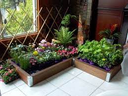 How To Make An Indoor Garden Indoor Garden Indoor Vegetables Indoor Vegetable Gardening