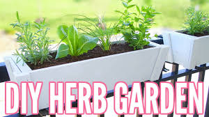 Danu's irish herb garden is a garden of healing, magic, plant wisdom and practical living. Diy Herb Garden How To Plant An Herb Garden Great For Apartments Easy Beginner Gardening Youtube