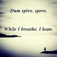 Quotes on Pinterest | Grey&#39;s Anatomy, Typewriter Series and Karate via Relatably.com