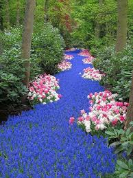 Pin On Garden Landscaping Ideas