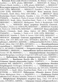 Image result for Hypertelis bowkeriana