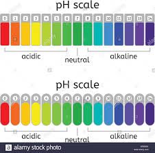 Vector Ph Scale Of Acidic Neutral And Alkaline Value Chart