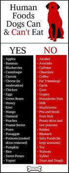 Dog Doggie Puppy Dog Dogs Pet Pets Cute Doggie Womenclothing Woman Women Fashion Dogfashion E Foods Dogs Can Eat Dog Infographic Dog Health Tips