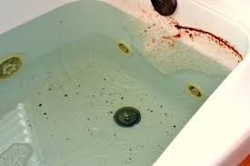 2727 lyndon b johnson fwy ste 222. How To Clean Your Jetted Tub