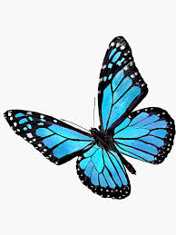 Search, discover and share your favorite monarch butterfly gifs. Light Blue Butterfly Sticker By Vikikl In 2021 Butterfly Art Drawing Butterfly Art Painting Butterfly Painting