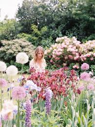 About Flower Field Lavender Flowers Beautiful Flowers