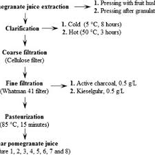 Schematic Diagram For Clear Pomegranate Juice Production