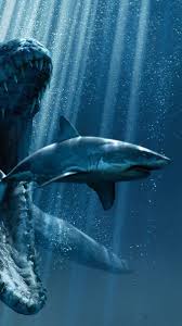 Here you can get the best shark wallpapers for your desktop and mobile devices. Shark Wallpaper Ixpap