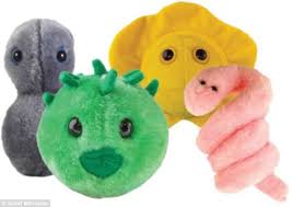 Gonorrhea | Description, Cause, Transmission, Symptoms, & Treatment |  Britannica