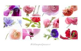 Edith Laurent-Neuhauser