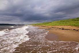 Rose water is a liquid made using water and rose petals. Stormy Cloudy Sky Over Beach By Nancy Rose