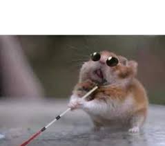 Dopl3r Com Memes Hamster Haciendose El Ciego Plantilla