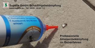 Ameisenbekämpfung im haus und garten so bekämpfen sie ameisen erfolgreich ► celaflor ameisenmittel hier direkt bestellen. Schadlingsbekampfung Hamburg Und Kammerjager Hamburg Ameisenbekampfung Bei Ameisenbefall Im Haus Und Garten