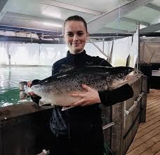 About grieg seafood asa (gria.ol) trading. Grieg Seafood Enters Jv For Post Smolt And Land Based Salmon Farming Newsnreleases