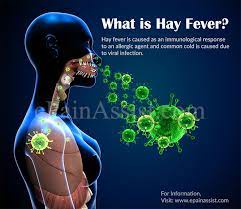 What Is Hay Fever Know Its Causes Symptoms Treatment Prevention Pathophysiology Risk Factors