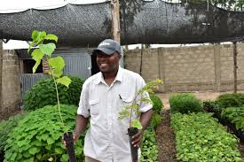 Help ICPSD restore Togo's forests