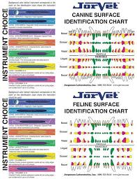 Veterinary Dosage Guide Chart Yahoo Image Search Results