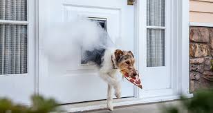 Expert(s) found on this page. Pet Starts A Home Fire Farmers Insurance
