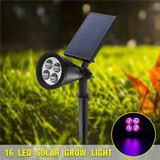 We did not find results for: Hot 16 Led Solar Plants Grow Light Garden Greenhouse Flower Vegetable Grow Bulb Lamp V Shopee Singapore