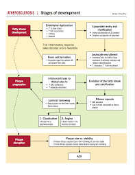 atherosclerosis mcmaster pathophysiology review