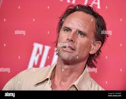 Lisa walton hi-res stock photography and images