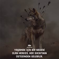 898 Begenme 5 Yorum Instagram Da Motivizyon Takip Et Motivizyon Arkadaslarinla Paylas Begen Yor 2020 Motive Edici Alintilar Resimli Alintilar Motivasyon