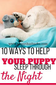 The first few nights, maybe a week, she was sleeping well, but waking up at 5 am and crying horribly, so at first i usually got up and let her out. 10 Fun Facts How To Get Your Puppy To Sleep Through The Night Sleeping Puppies Dog Potty Training Puppy Training