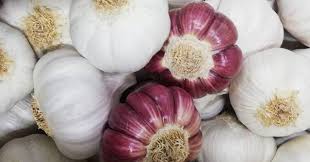 Lots of fellow garlic lovers wanted to know how to clean their garlic. The Garlic That Makes The Difference Primesidr
