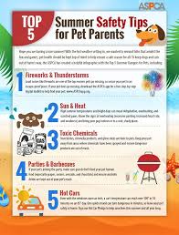 Top 5 Summer Safety Tips For Pet Parents Summer Safety Tips Summer Safety Safety Tips