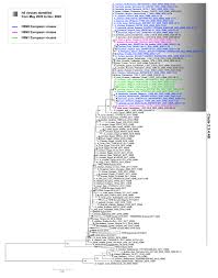 Are now feeling well, said the head of russia's. Genetic Characterization And Spatial Analysis Of Hpai H5nx Viruses Identified In Europe Over The Period 16 October 24 November 2020