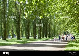 Parc de Sceaux, Paris, France Photo Stock - Alamy