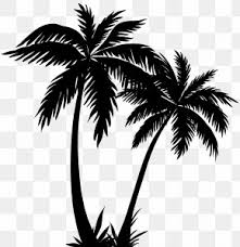 11 transparent png illustrations and cipart matching coconut tree silhouette. Black Coconut Tree Silhouette Images Black Coconut Tree Silhouette Transparent Png Free Download
