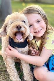 Cavoodle Puppy Identification in Blooper Reel