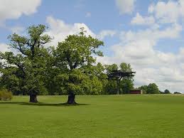 Established in 1970, l cook florist has been delivering the freshest flowers daily for over 50 years. Watford S Vanishing Trick New Contributions Our Watford History