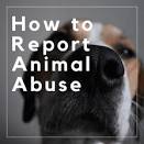 Animal Welfare.Read MoreThe report