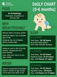 Plz Share 6 Month Old Babys Diet Chart