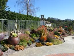 Maybe you would like to learn more about one of these? Before And After Landscape Transformation Traditional Landscape San Diego By Living Designs By Linda Houzz