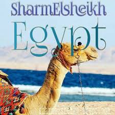 .شرم الشيخ أفضل الأسعر مع توافر الامكانيات. Sharmelsheikh Egypt Ø´Ø±Ù… Ø§Ù„Ø´ÙŠØ® Ù…ØµØ± Home Facebook