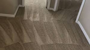 Maybe you would like to learn more about one of these? Best 15 Carpet Cleaners In Edgewater Fl Houzz