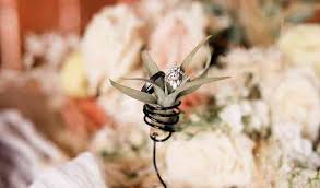 Maybe you would like to learn more about one of these? Wedding Vendors In Saint George Ut Reviews For Vendors